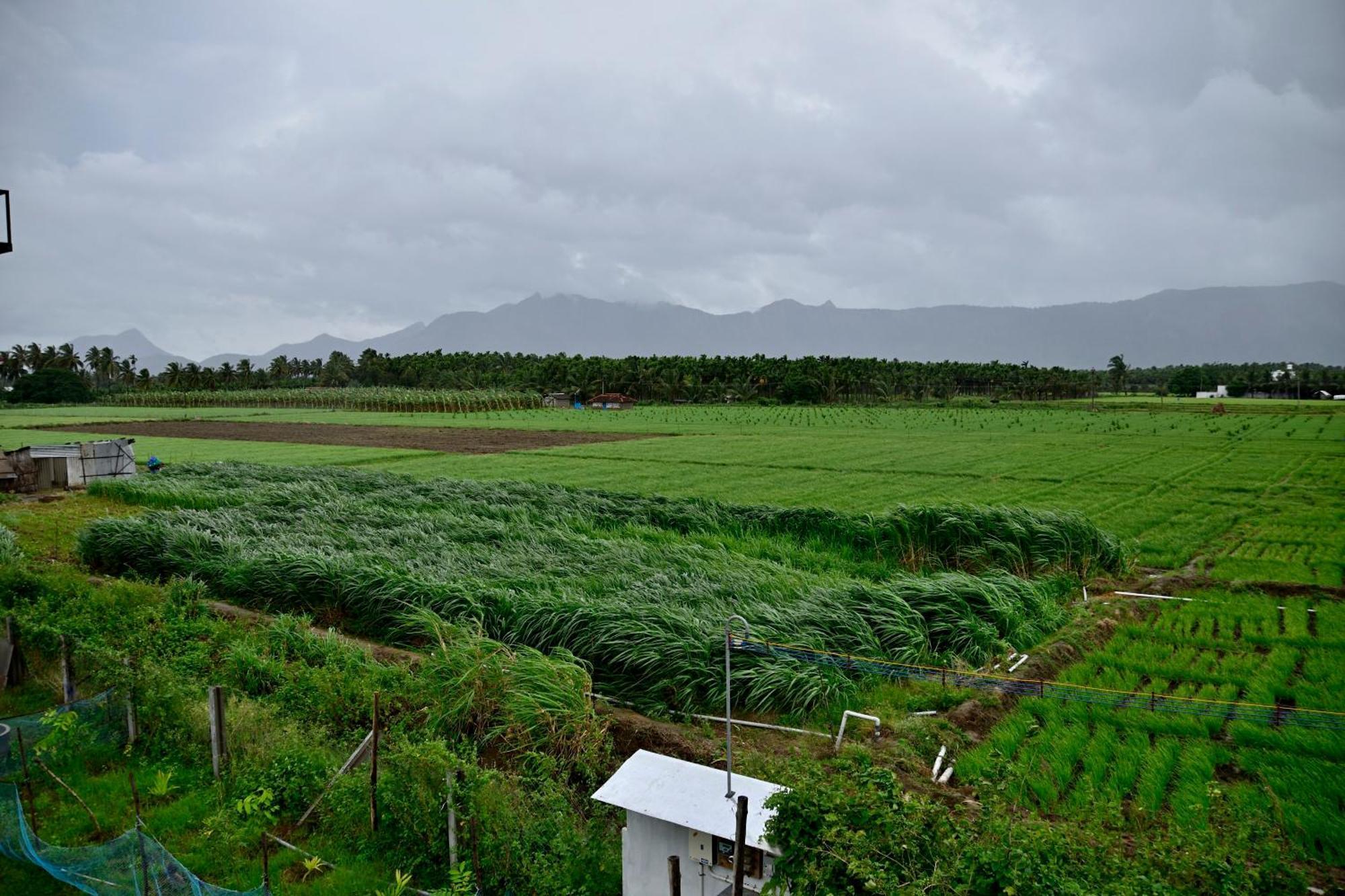 AlānduraiLakshmi Illam Near Isha Yoga Adiyogi公寓 外观 照片